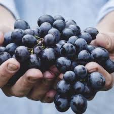 We did not find results for: Locuri De Munca Danemarca