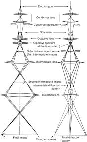 Optical Microscope An Overview Sciencedirect Topics