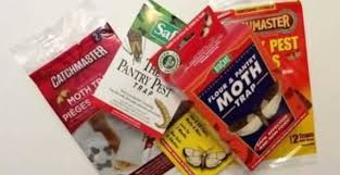 Clean, economical, & easy to use. Moth Traps How To Choose An Effective Pantry Moth Trap