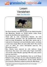 Schulaufgaben & klassenarbeiten gymnasium klasse 6. Sachtexte Tiere Sachthemen Hus Klasse 3 Grundschulmaterial De