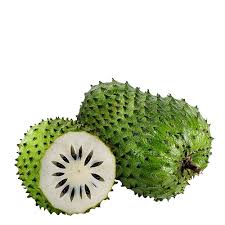 Graviola is a fruit tree which grows in central and south america and its fruit, leaves, and bark have all been used traditionally to treat a range of health disorders from rickets to diabetes. Soursop Guanabana Graviola