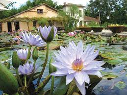 Castelmoron sur lot office tourisme. Bastide De Castelmoron Sur Lot Comite Departemental Du Tourisme De Lot Et Garonne
