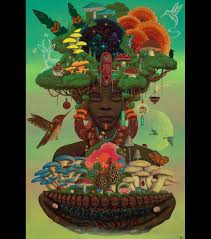 Image result for Afroligusticum