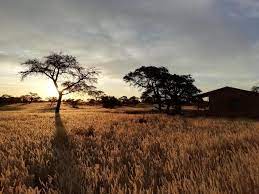Check spelling or type a new query. Jansen Kalahari Guest Farm Hoachanas Updated 2021 Prices