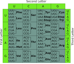 missense mutation definition example video lesson