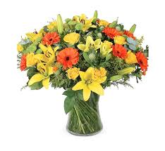Mr roses offers only the best roses for every occasion. Daisy Hill Florist Flower Delivery The Lush Lily Brisbane Florist Flower Delivery Carindale Loganholme Brisbane Buy Flowers Online