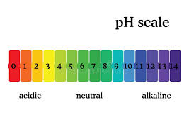 Ph Scale Diagram With Corresponding Acidic Or Alcaline