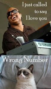 Stevie Wonder I Just Called To Say I Love You Release Date Pin By Kim Brushaber On Grumpy Cat Meme Grumpy Cat Meme Grumpy Cat Humor Grumpy Cat