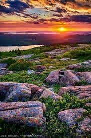 Acadia Park Nature National Parks Nature Photography