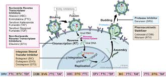 Image result for Nucleoside Reverse Transcriptase Inhibitor