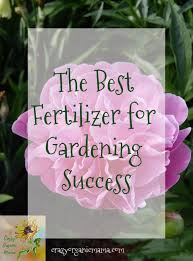 Try using all three of these organic fertilizers for optimal soil and plant health! The Very Best Organic Fertilizer Crazy Organic Mama Healthy Plants Indoor Plant Care House Plant Care