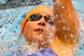 Articles relating to Michael Pickett