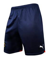 Public use microdata area (usbc). Puma Sk Rapid Wien Short Away 2021 2022 Kids F04 Fan Shop Replica