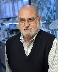 Partners Receive Funding to Develop Zika Virus Diagnostic