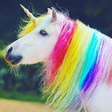 Sabrina S Unicorn World On Instagram Omg It S So Beautiful Real Unicorn Follow Me Un Unicorn Pictures Cute Baby Animals Baby Animals Super Cute