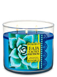 Другие товары этого продавца (смотреть все). Baja Cactus Blossom 3 Wick Candle Bath And Body Works 3 Wick Candles Candles Favorite Candles