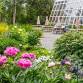 June Tunes: Picnic Concerts in the Garden
