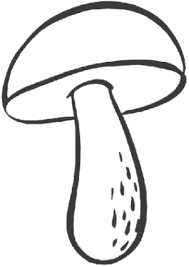 Manche ausmalbilder haben auch eine kleine lustige geschichte. Pilz Malvorlagen Ausdrucken Coloring And Malvorlagan
