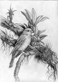 Beautiful Black And White Nature Drawing Dark Beautiful Hyper Realism Pencil Drawing Of A Bird Resting On A Tree Branch Nature Art Detailed Drawing Fine Art Original Drawing Pencil Drawings Bird Drawings Nature Drawing