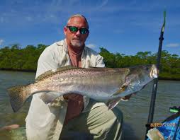 The florida state record for a mangrove (gray) snapper is 17 pounds caught near port canaveral just south of daytona beach. Florida Today Fishing Forecast For July 2 2020 Snapper Tarpon