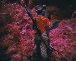 One was congo, of course, but the other was photography itself. Pin On Purienne