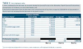 Ppp Borrower S Toolkit Dd F Consulting Group