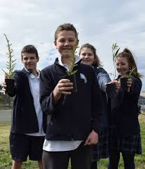 Ballarat Secondary College holds tree planting day
