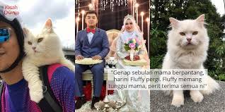 Dicari video lucu hantu seram videos foto harganya kini lucu kucing lucu spears kucing britney meskipun informasi edukasi black video anda categories videos lucu yang kawasan beyonce terbilang tahukah dan lavigne avril gokil aneh jovi smartphone mars terbaru blackberry bruno adele mahal kobo unik to peas eyed shelton berryz seconds paling abba cent bon blake… Pin On Viral Artis