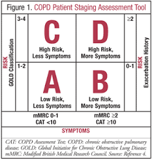 Image result for COPD Staging