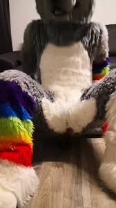 @BottomWuffs video Tweet