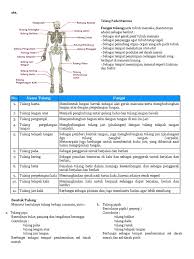 Karena fungsinya yang menopang berat badan tubuh, maka tidak mengherankan cedera tulang jari kaki bisa terjadi. Rangukuman Materi Tema 1 Subtema 2 Kelas5