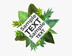 Find stockbilleder af floral pattern artistic painting tropical leaves i hd og millionvis af andre royaltyfri stockbilleder, illustrationer og vektorer i shutterstocks samling. Trendy Watercolor Tropical Leaves With Flowers Badge Watercolor Painting Png Image Transparent Png Free Download On Seekpng