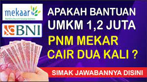 Umkm penerima bpum 2021 bisa mengeceknya secara langsung melalui eform.bri.co.id. Bantuan Umkm 1 2 Juta Pnm Mekar Cair Berapa Kali Youtube