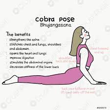 Check spelling or type a new query. Cobra Pose Yoga Pose Und Vorteile Karikatur Vektor Illustration Stock Vektorgrafi Crushpixel