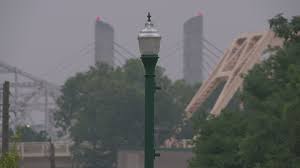 Doctor with Christine Lee Brown Envirome Institute discusses short-term,  long-term effects of smoke | whas11.com