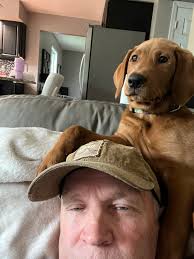 Bear must find it relaxing to nap while I work. Usually he is