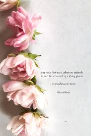 Soul Lovers On Earth In 2020 Flower Quotes Inspirational Quotes From Books Heartfelt Quotes