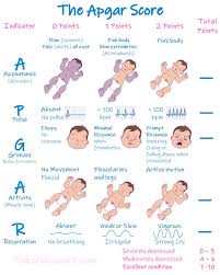 Image result for APGAR Score