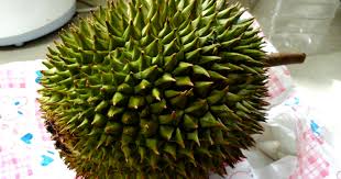 It is the largest tree fruit in the world and can reach up to 80. Unique Fruit The Green Spiky Fruit White Inside