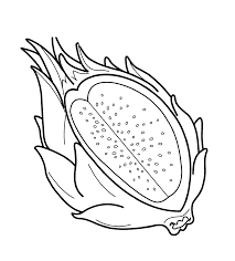 Dragon Fruit Coloring Pages For Kids 9d Printable Fruits Coloring Pages For Kids Buah