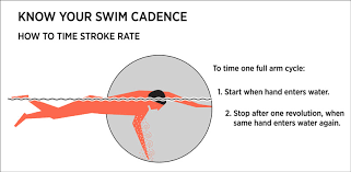 Distance Per Stroke Vs Swim Stroke Rate How To Find Your