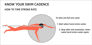 distance per stroke vs swim stroke rate how to find your