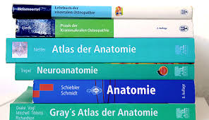 For instance, nitro anatomie für osteopathen: Gisela Geis Kosten