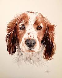 Items similar to commission portrait to order pet painting original watercolor custom cat personalized artwork pet memorial art painting on etsy. Custom Pet Portrait Original Watercolor Painting Dog Etsy Dog Paintings Watercolor Dog Dog Art