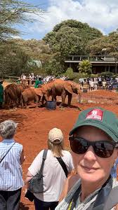 ✨Not even in my wildest dreams…, If you’d told me 10 years ago this would  be my camera roll —, From planning my first safari, to working for  Gamewatchers Safaris, starting a charity for Maasai kids, ...