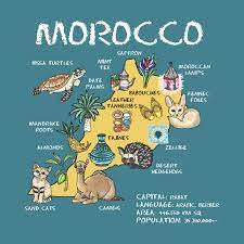 Morocco Illustrated Map In 2021 Illustrated Map Morocco Map Travel Doodles