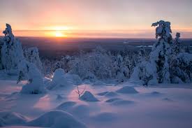 Bekijk hieronder al onze reizen, zoek zelf je favoriete vakantie (door in ons lapland aanbod bij bestemming 'zweeds lapland' te selecteren), of geef je wensen. Winterreizen North Away