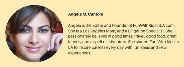 Your Kids Can Now Play Minecraft Story Mode On Netflix For Free!FUN WITH  KIDS IN LA