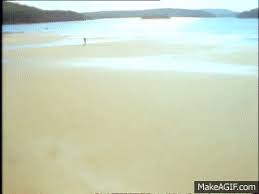 What does daryl braithwaite's song the horses mean? Daryl Braithwaite The Horses On Make A Gif