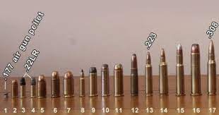 .308 winchester (7.62x51mm nato) the.308 is by far the most popular sniping round, and for good reason. Pin On Ammo